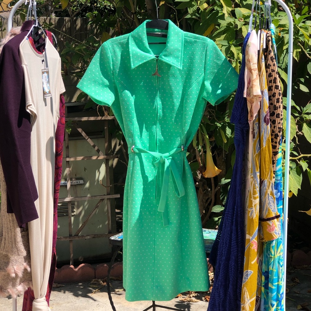 Lady Carol Vintage dress